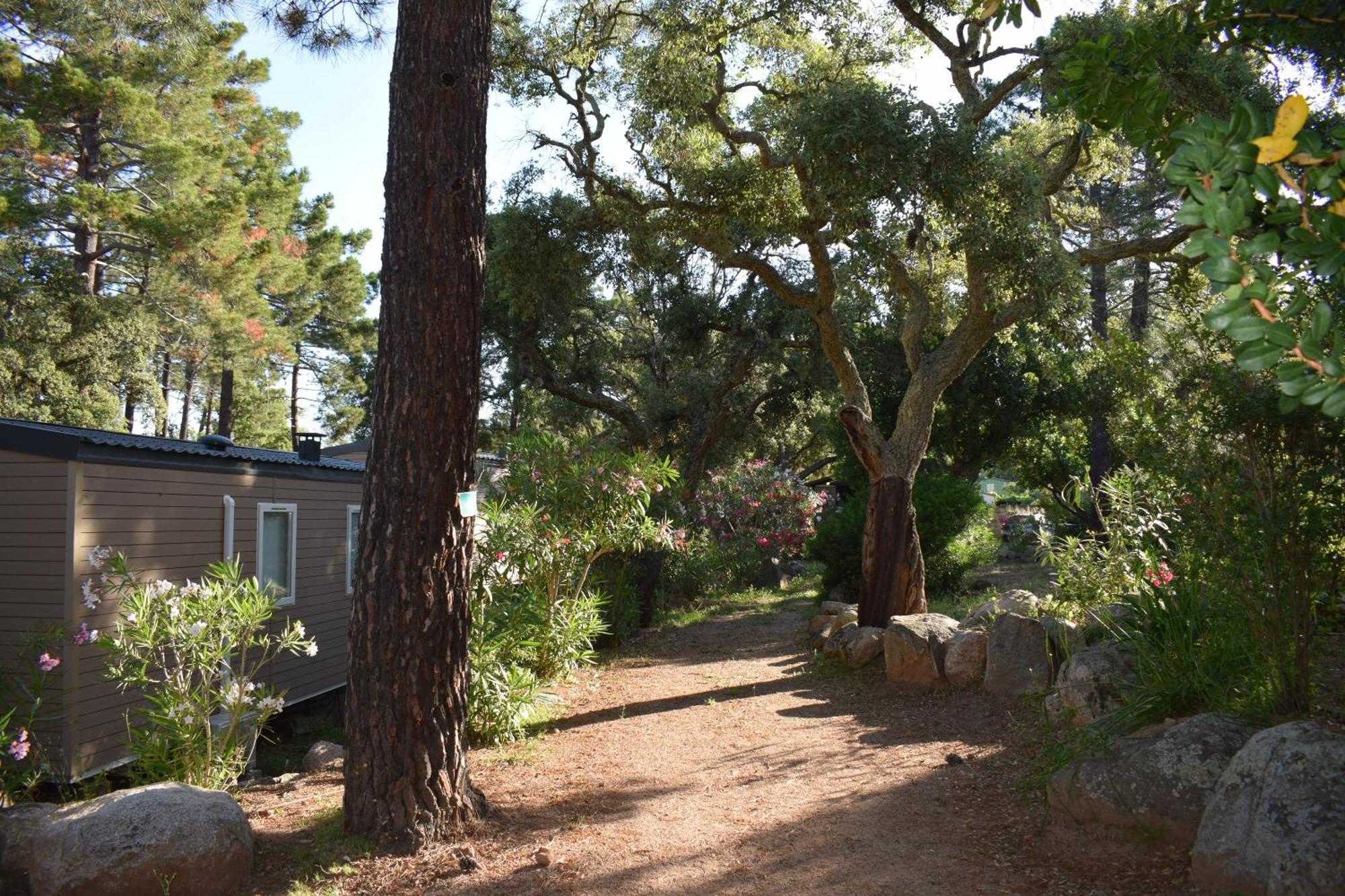 Villa Petralegna Porto-Vecchio  Exterior foto