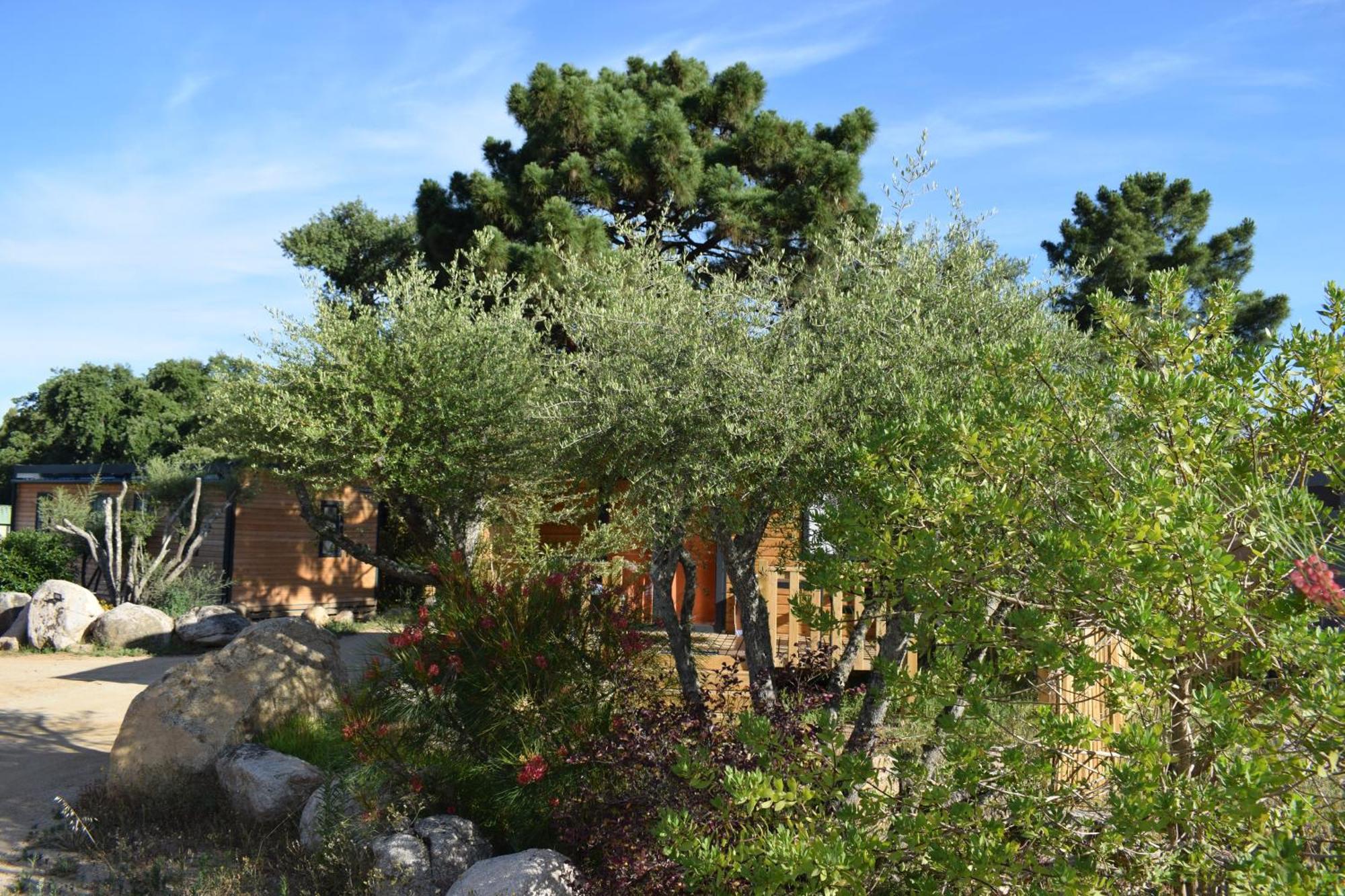 Villa Petralegna Porto-Vecchio  Exterior foto