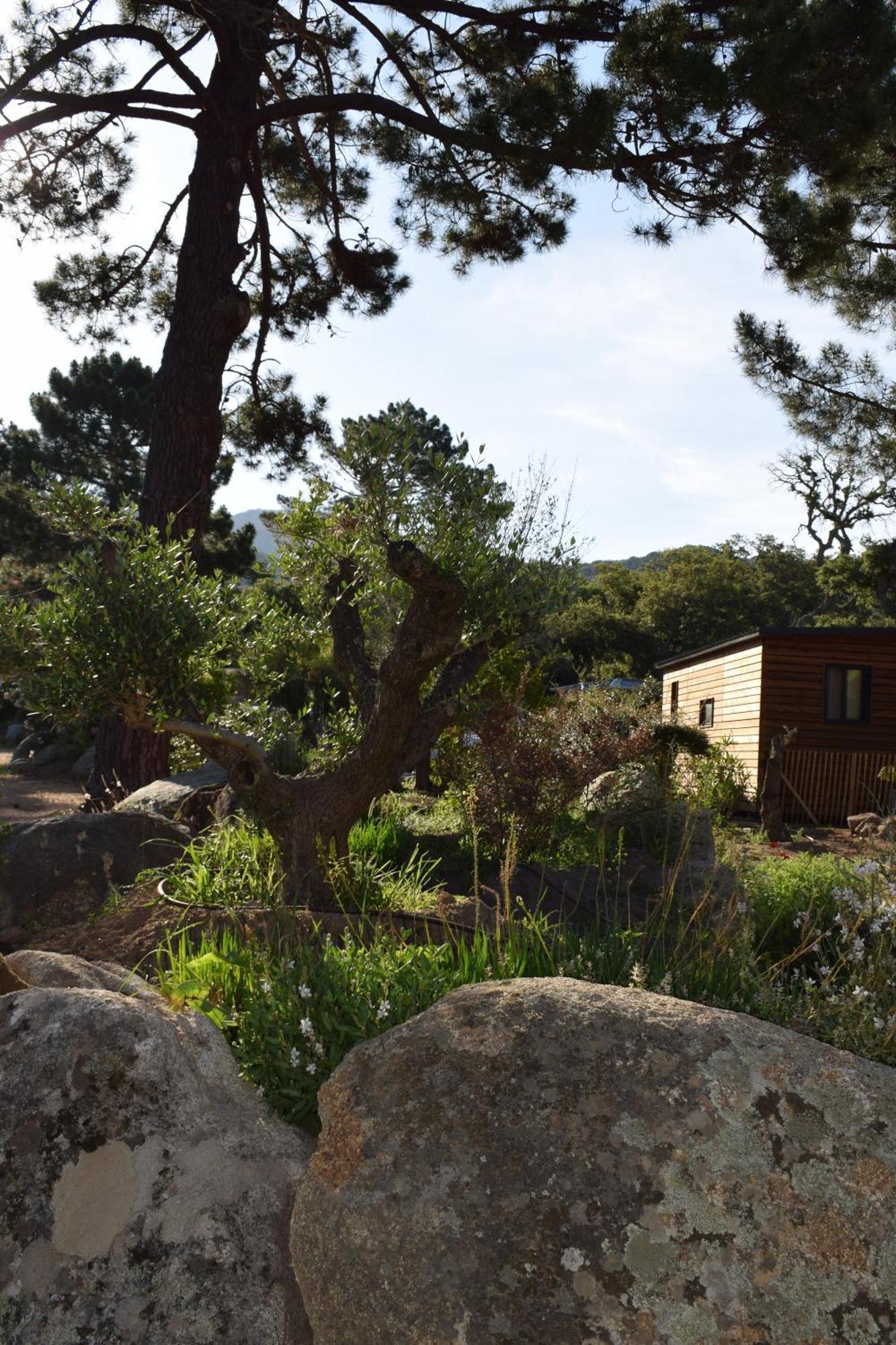 Villa Petralegna Porto-Vecchio  Exterior foto