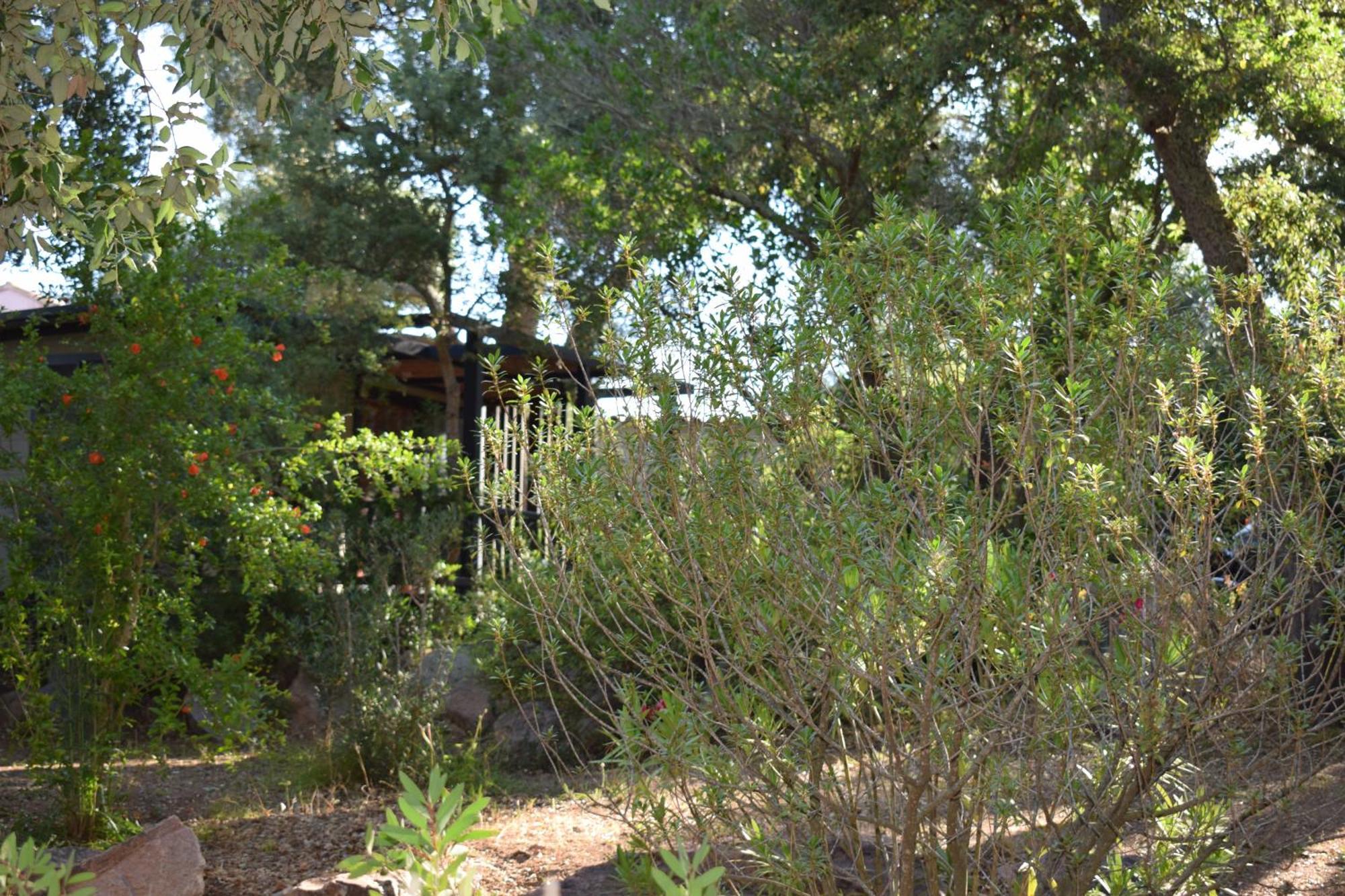 Villa Petralegna Porto-Vecchio  Exterior foto